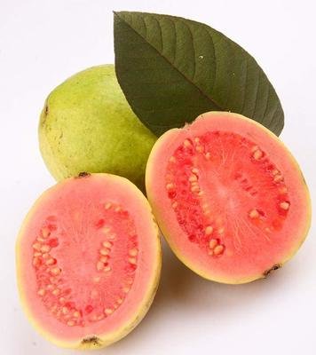 Hawaiian Sun Drink - Guava Nectar 11.5 oz (Pack of 24)   **Limit 2 cases total per purchase transaction**