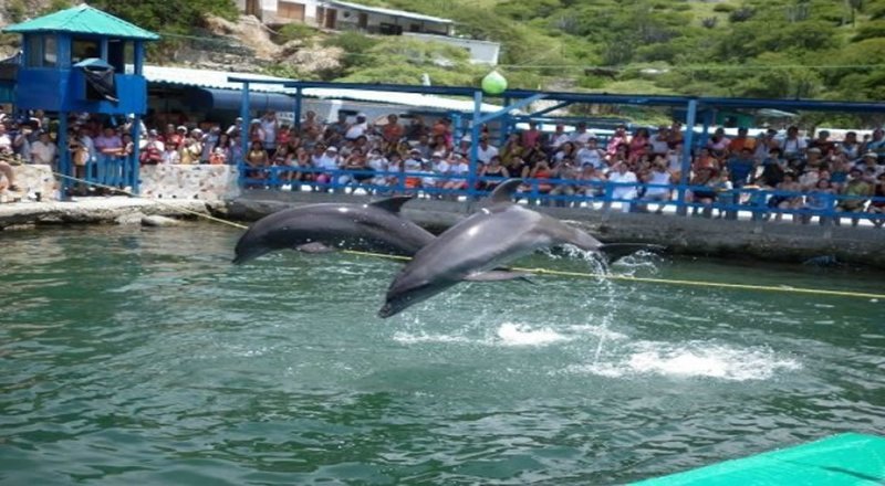Acuario - Playa Blanca