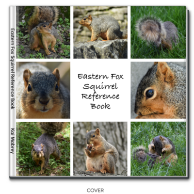 Eastern Fox Squirrel Reference Book (8x8)