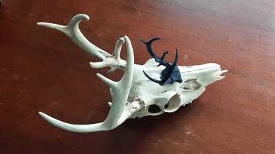 3D Printed Antlers &amp; Horns