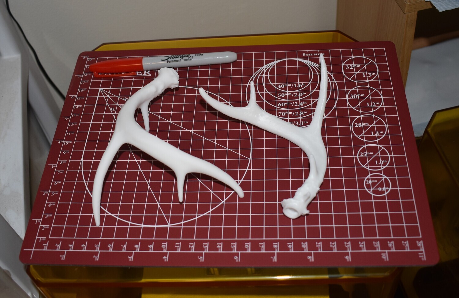 Mini WT Deer Antler Set (Typical)