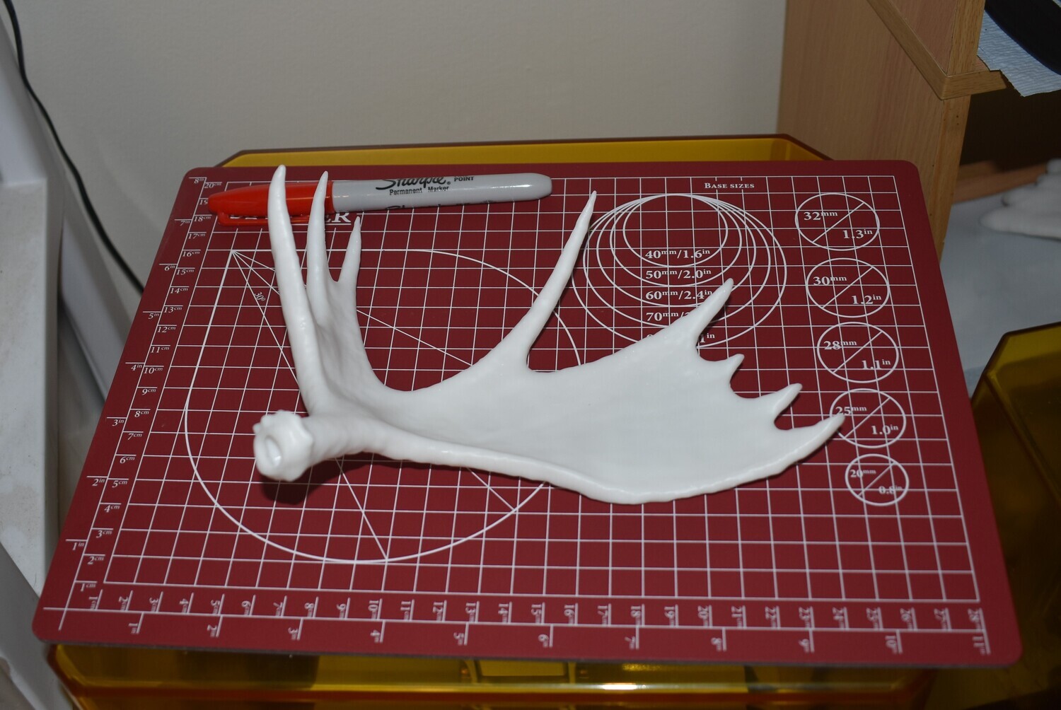 Mini Moose Antler Set