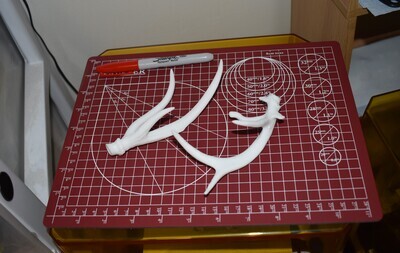 Mini WT Deer Antler Set (Non-Typical)