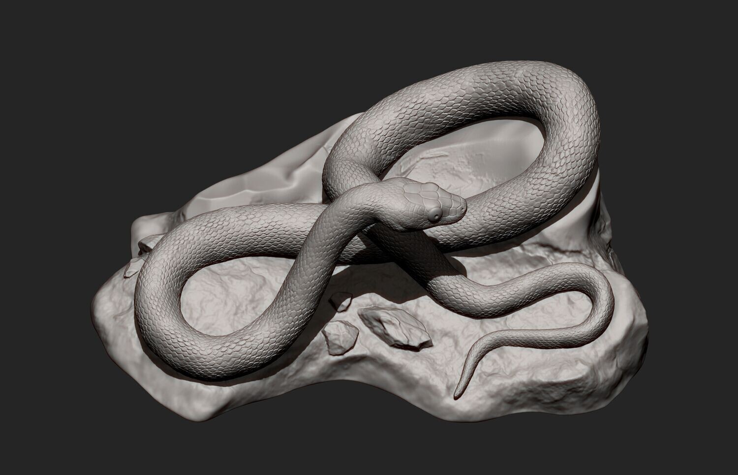 Rat Snake