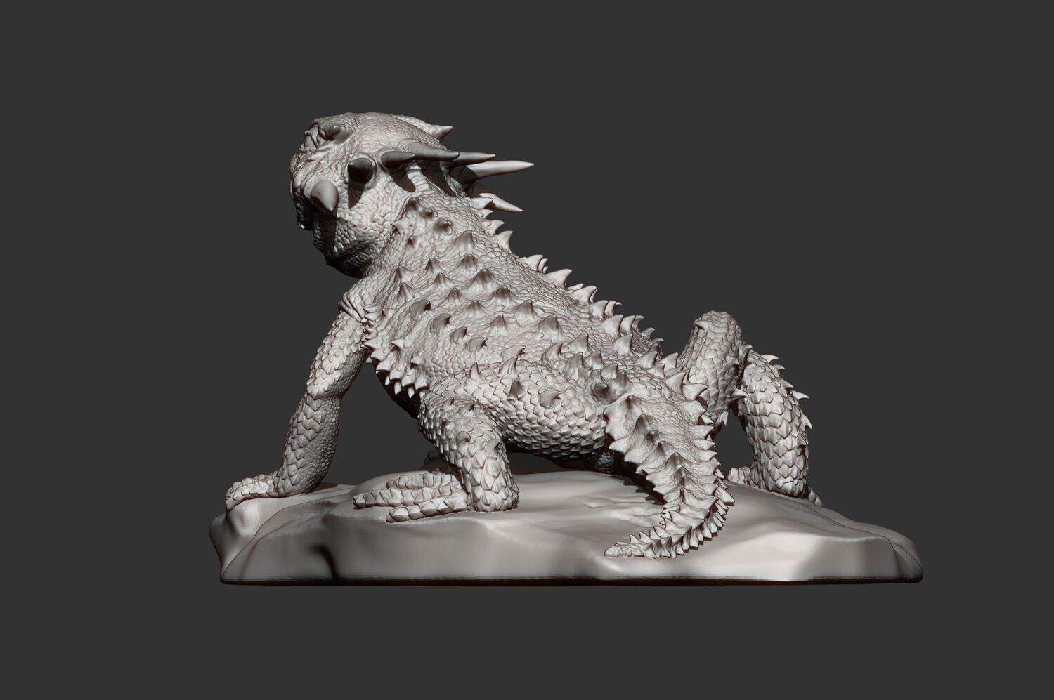 Desert Horned Lizard