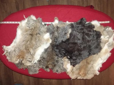 Rabbit Skin