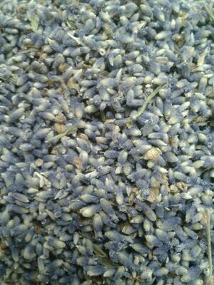 Herbal Lavender Flowers