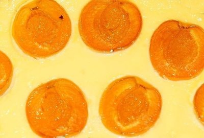 Apricot Cream