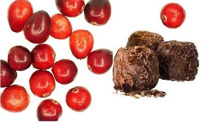 Chocolate Cranberry