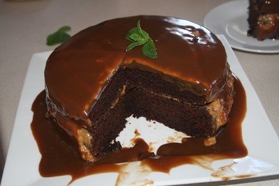 German Chocolate Mint