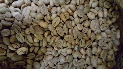 Ethiopian Mocha Harrar Green Beans