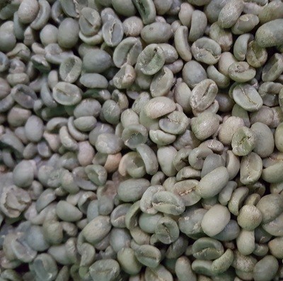 Guatemala Organic Green Beans