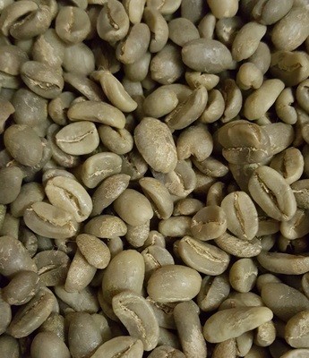 Guatemalan Green Beans