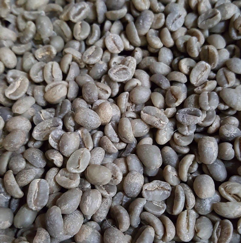 Java Estate Green Beans