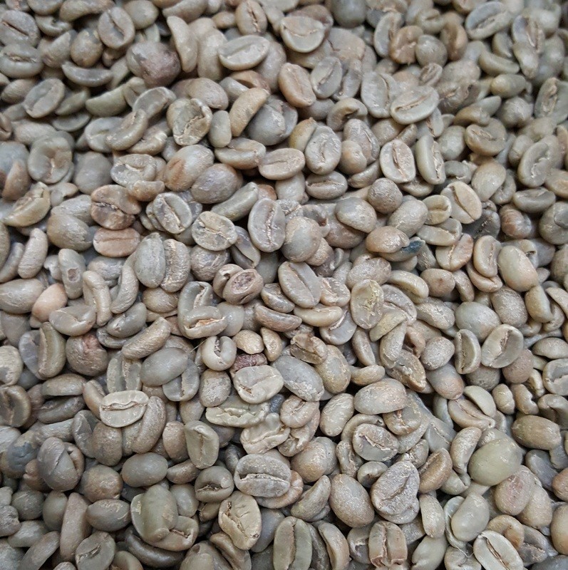 Mexican Altura Pluma Green Beans