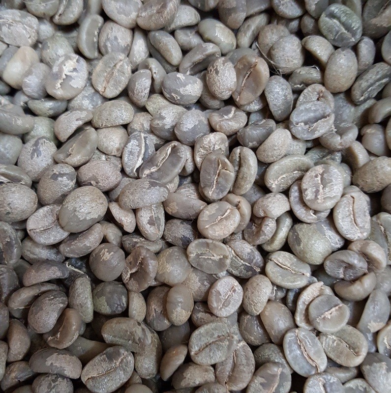 Peruvian Organic Green Beans