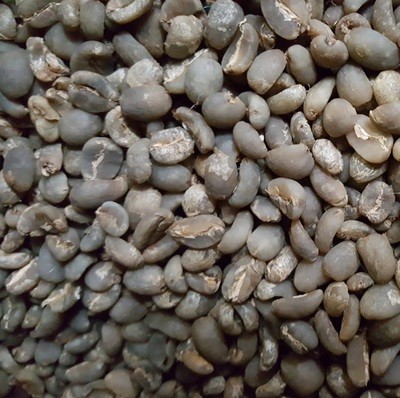 Sumatra Green Beans