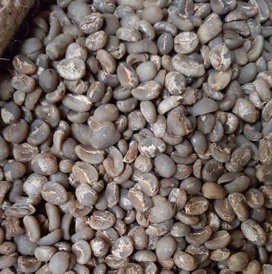 Sumatra Organic Green Beans