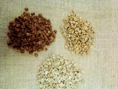 Green (unroasted) Coffees