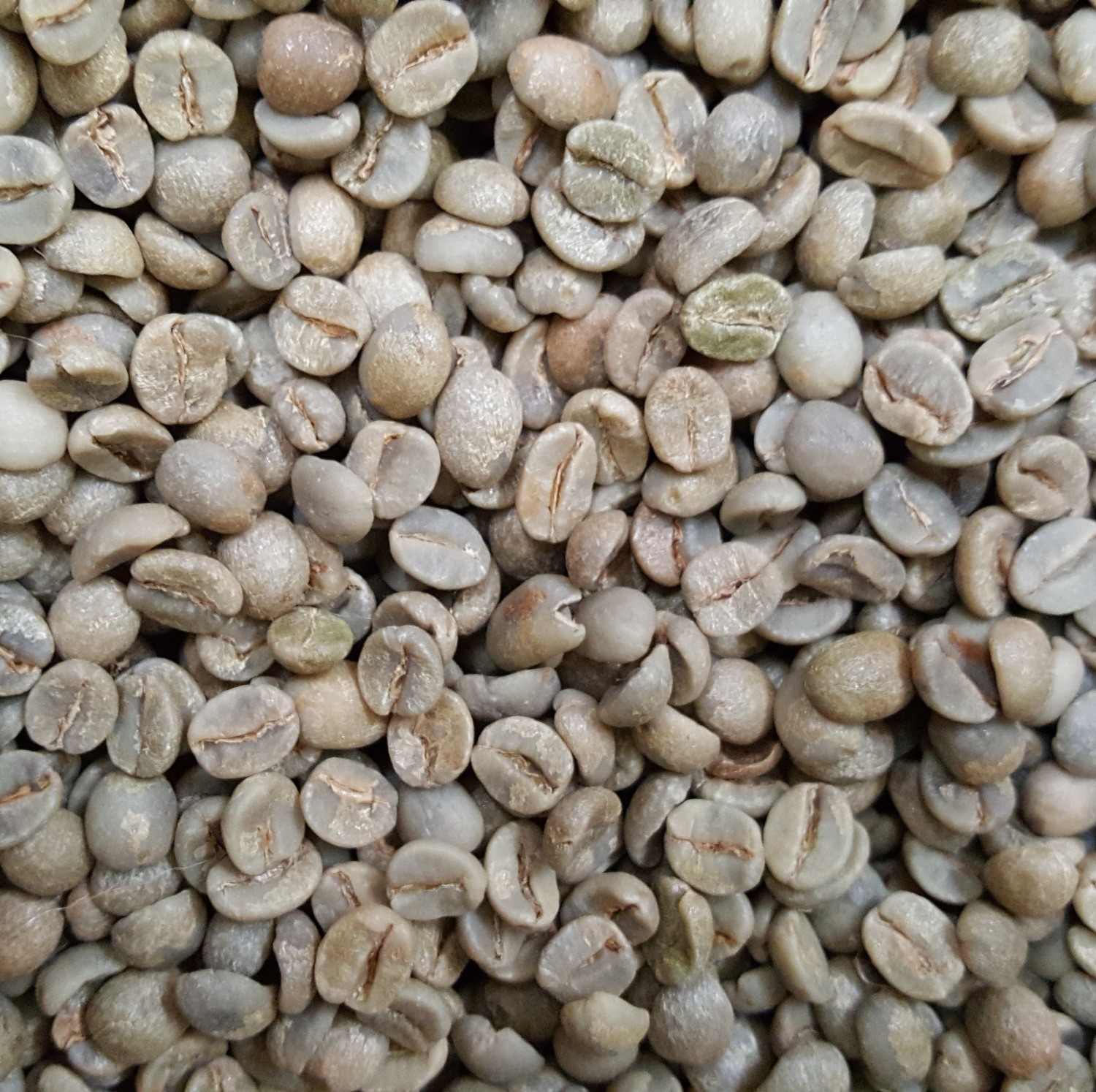 Brazilian Green Beans