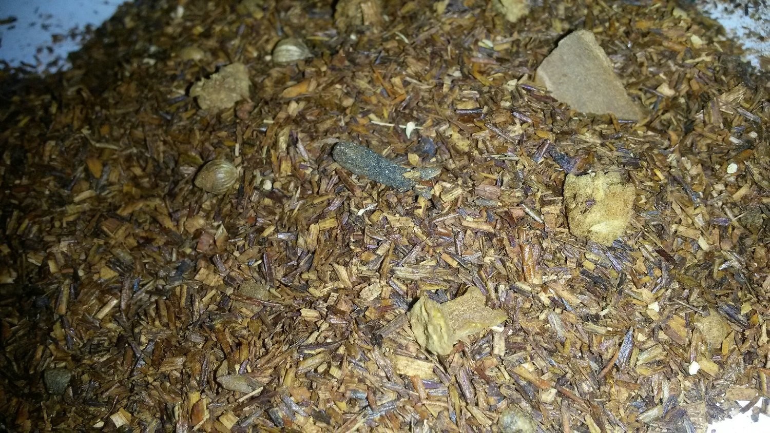 Chai-Licious Herbal Loose Tea