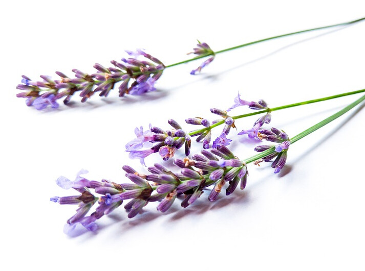 Earl Grey Tea with Lavender