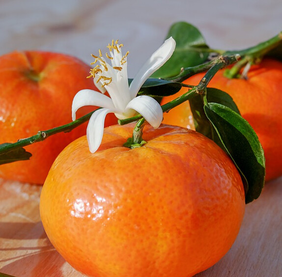 Orange  Blossom Tea