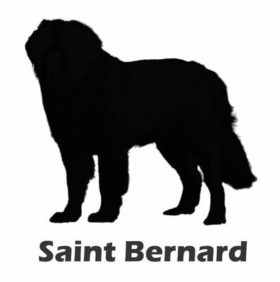 Billabone Saint Bernard Sticker