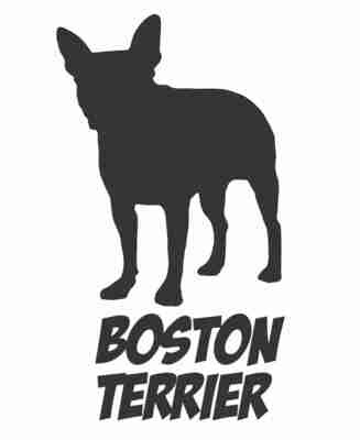 Billabone Boston Terrier Sticker