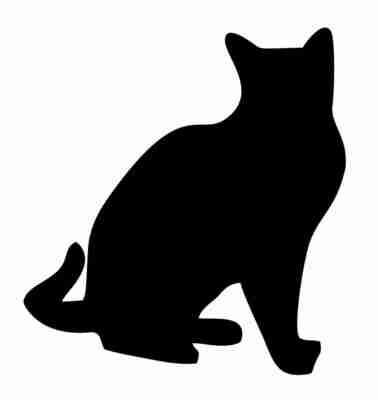 Billabone Cat Sticker - Option 1