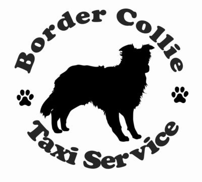 Billabone Border Collie Sticker