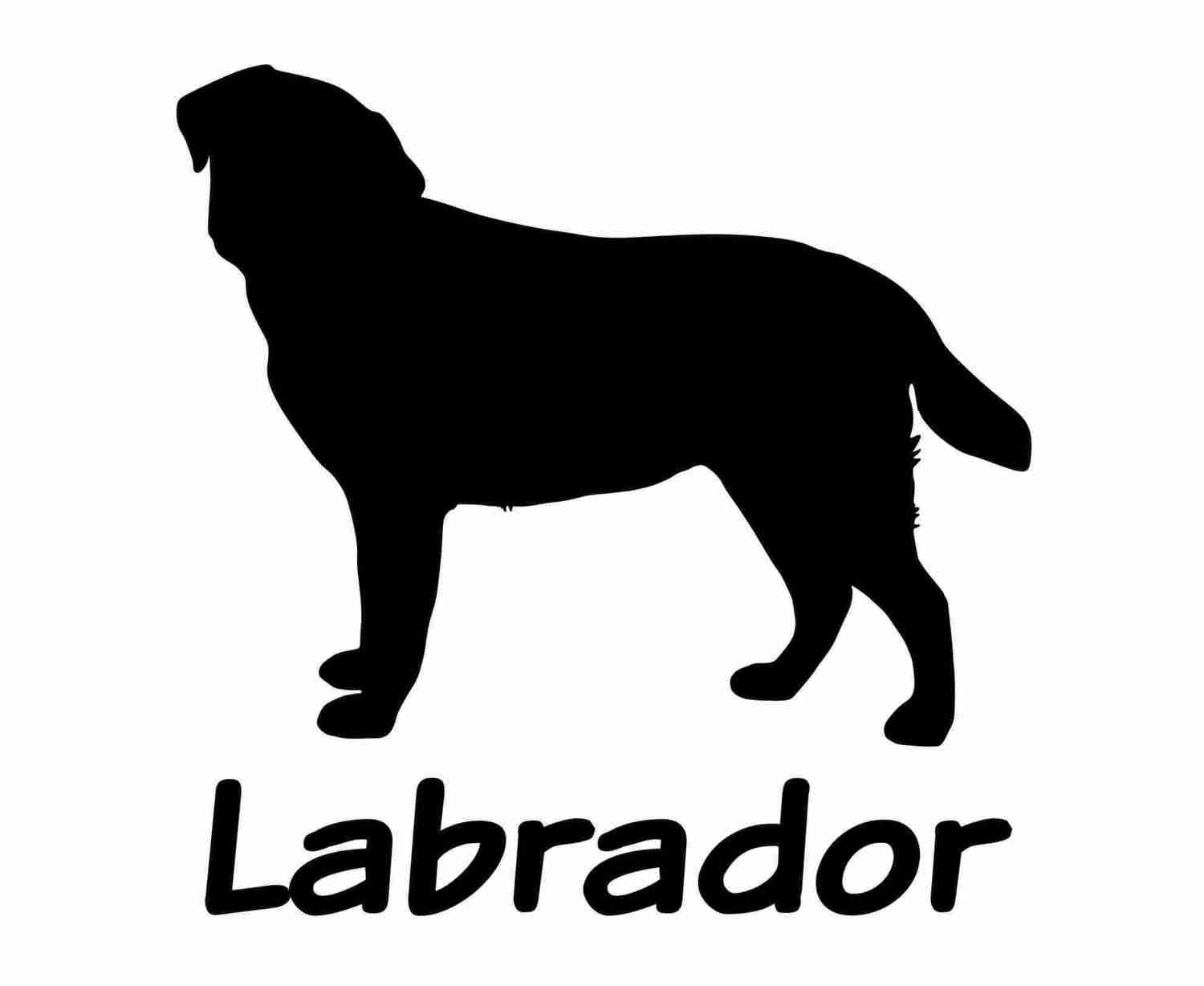 Billabone Labrador Sticker
