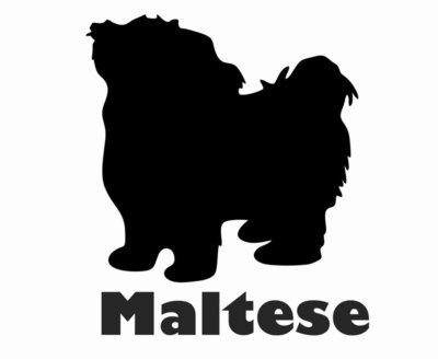 Billabone Maltese Sticker