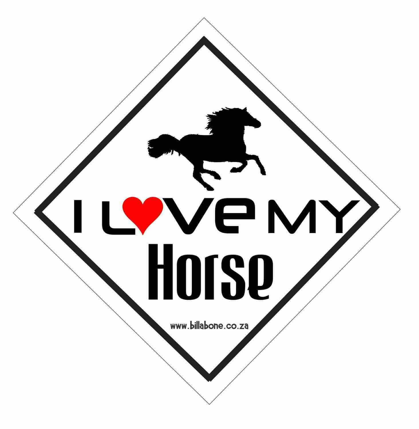I love my horse Car Sign or Sticker