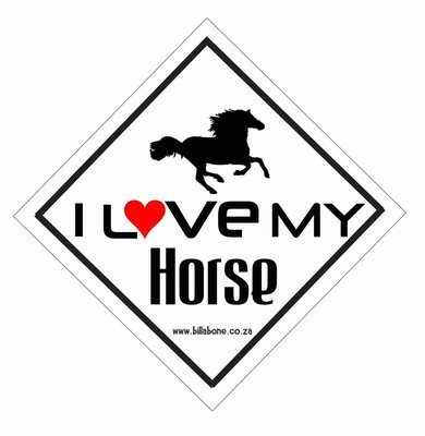 I love my horse Car Sign or Sticker