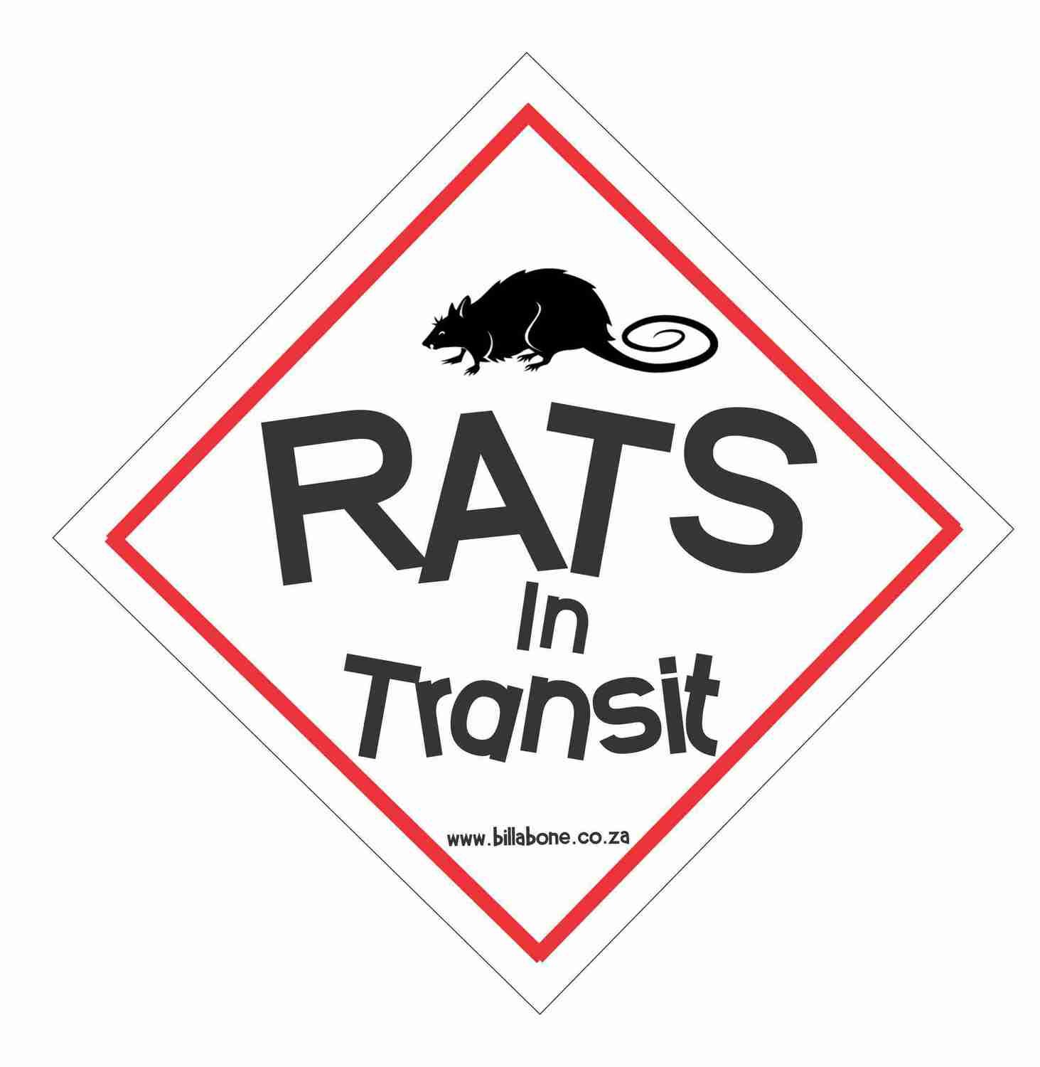 Rats in transit Car Sign or Sticker
