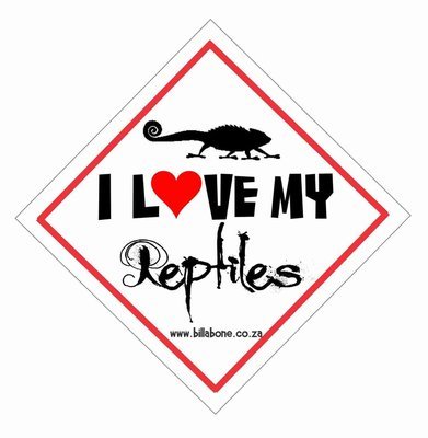 I love my reptiles Car Sign or Sticker