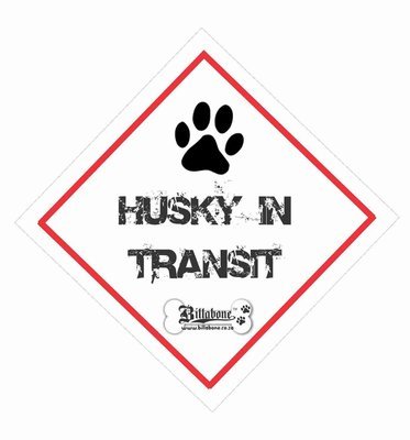 Husky in Transit On Board Sign or Sticker