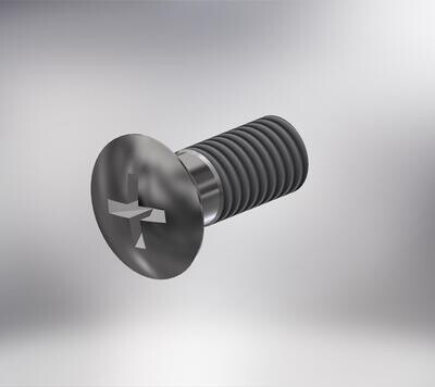 Paumelle 0056 Schroef M5x12