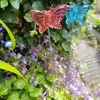 Vlinder, 4 cm, op rvs-steker