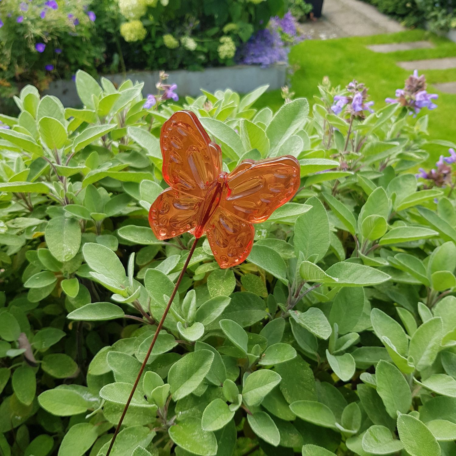 Vlinder, 8 cm, op rvs-steker