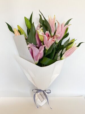 Lily En Masse - Pink (From $65.00)