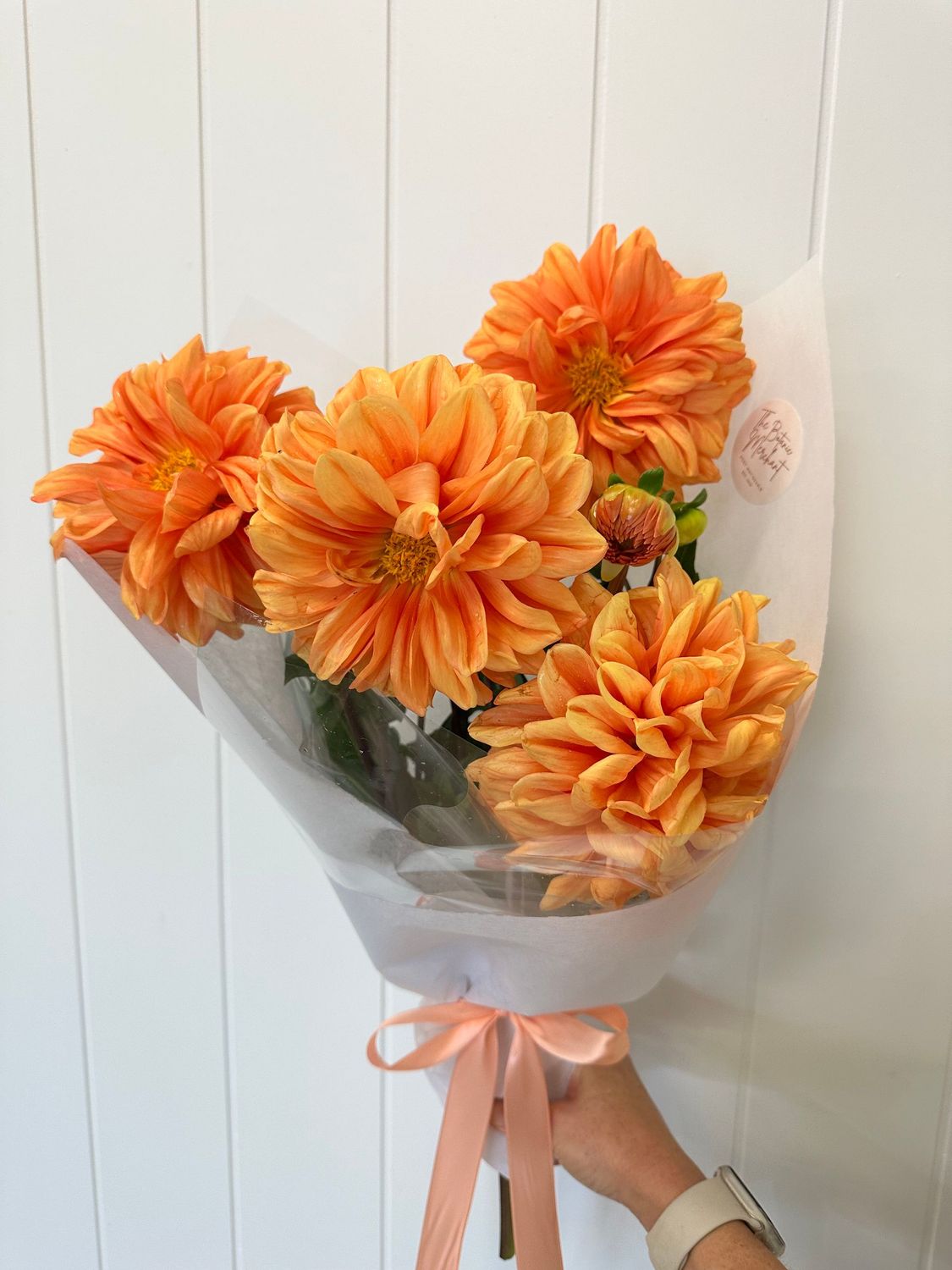 Dahlia En Masse’