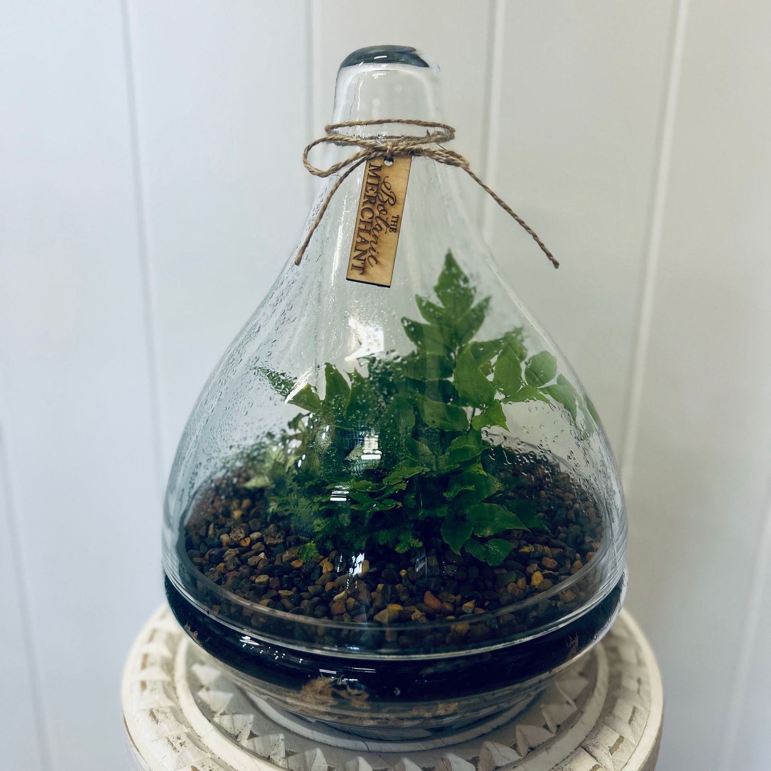 Terrarium