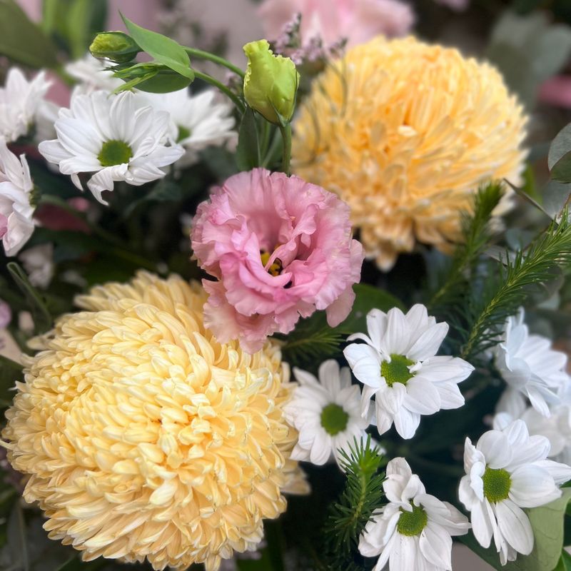Florist Choice - From $50.00