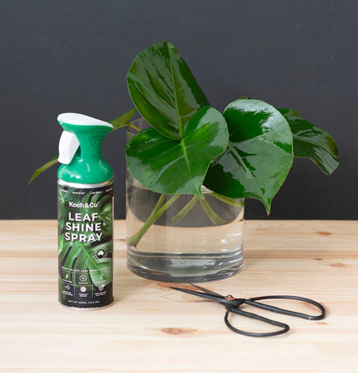 Leaf Shine Premium Spray