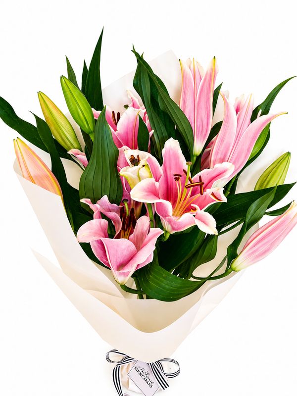 Lily En Masse - Pink (From $65.00)