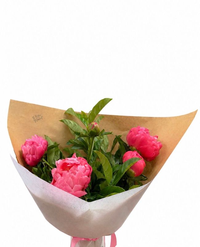 Peonies