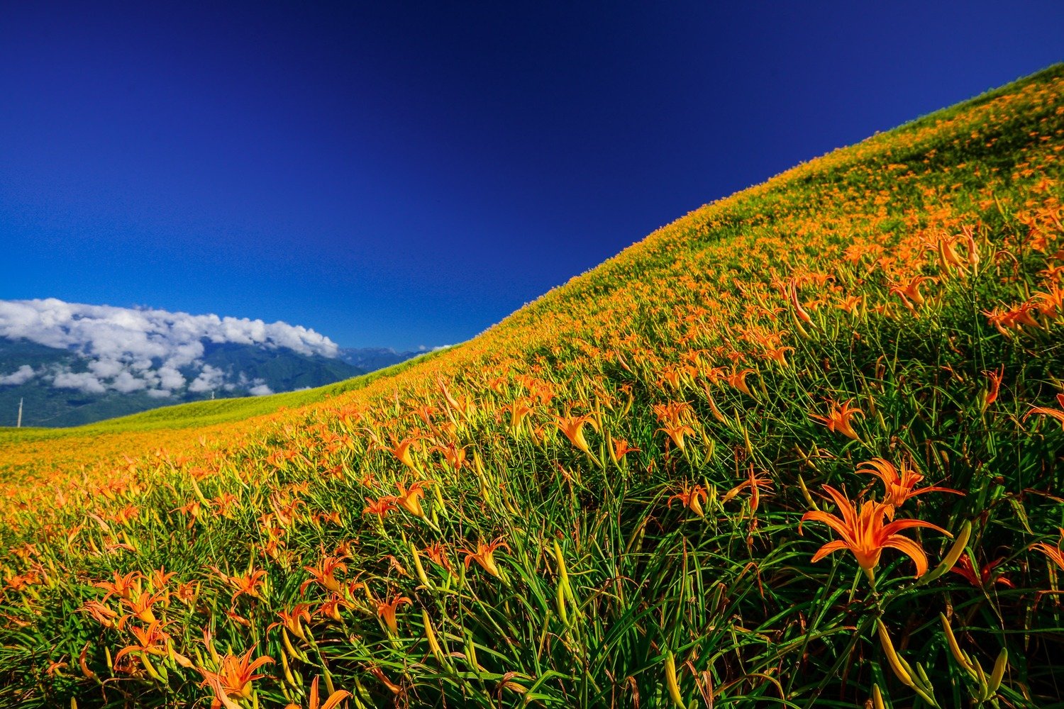 Yilan &amp; Hualien Taidong - 宜蘭 花蓮 台東方面