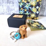 Pet Keychain - Great Value! Perfect Gift Set - Free Delivery - All inclusive